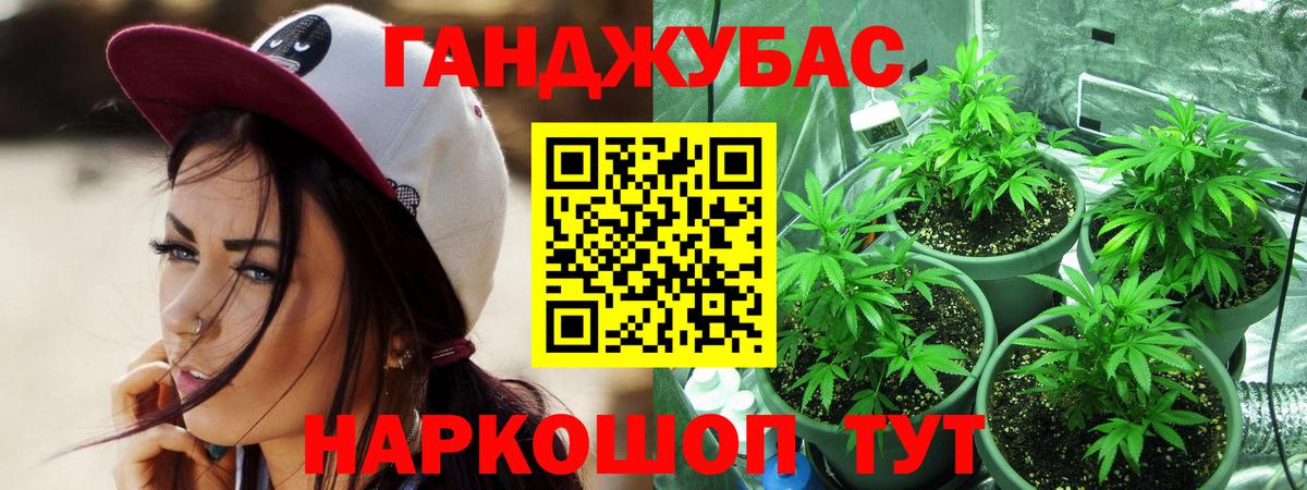Малгобек  МАРИХУАНА ГИДРОПОН  Вход с VPN  Марихуана планчик  Каннабис индика 